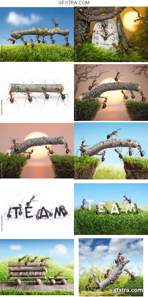 Concept of Animals Pack 3 - 7xJPG Concept of Animals Pack 3 - 7xJPG