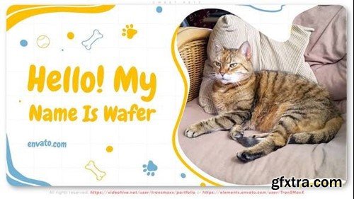 Videohive Sweet Pets 45789168 Videohive Sweet Pets 45789168