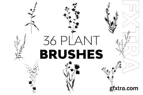Plant Brushes 