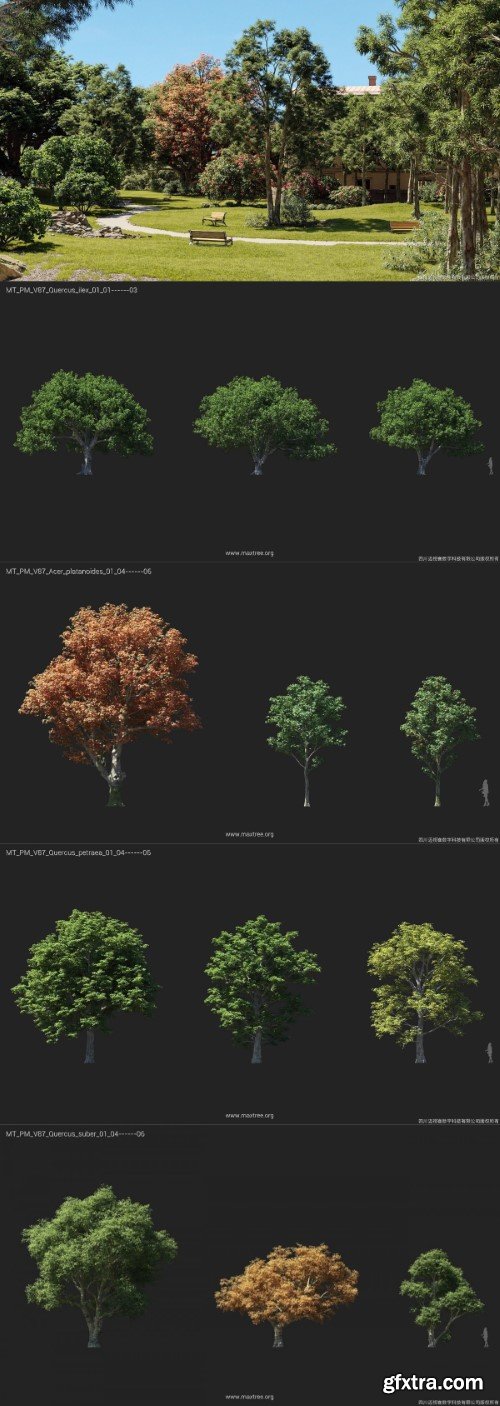 MaxTree - Plant Models Vol. 87 MaxTree - Plant Models Vol. 87