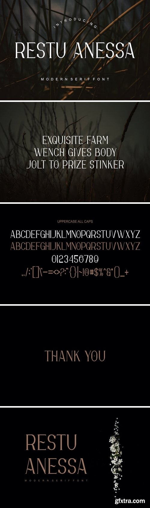 Restu Anessa Fonts Font