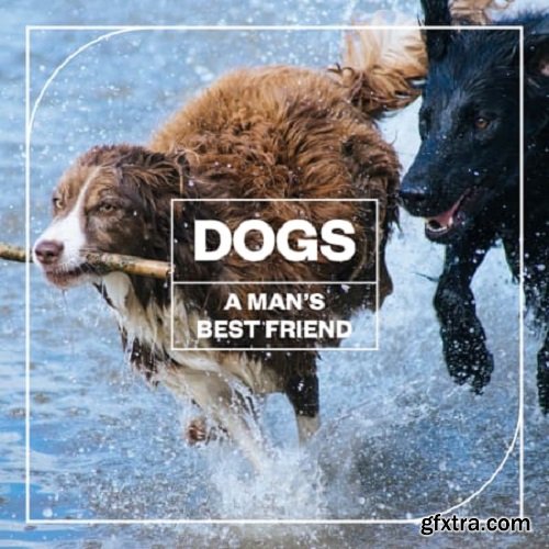Blastwave FX Dogs: A Man's Best Friend
