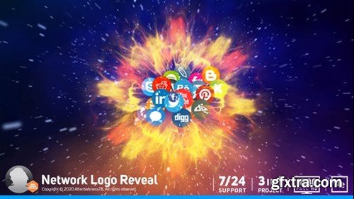 Videohive Network Logo Reveal 12071017