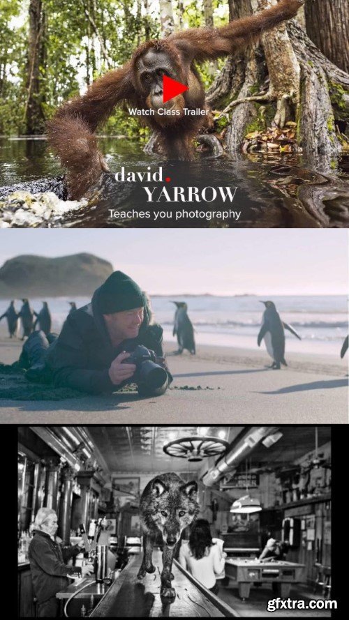 Masters of Photography - David Yarrow