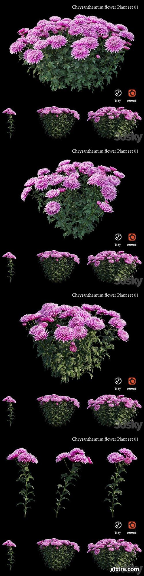 Chrysanthemum Flower Plant Set 01