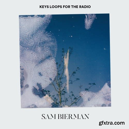 Sam Bierman Keys Loops For The Radio