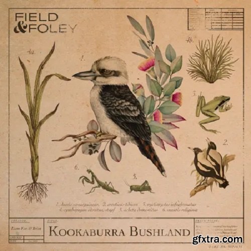 Field and Foley Kookaburra Bushland