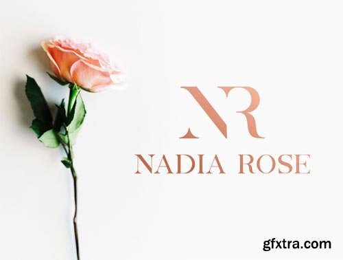 Monica Allcaps Fonts Family Ui8.net