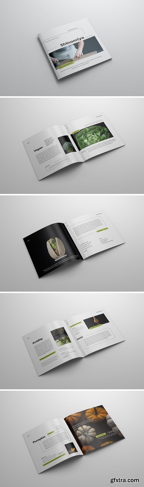 Shinomiya - Square Brochure H7GLYJB