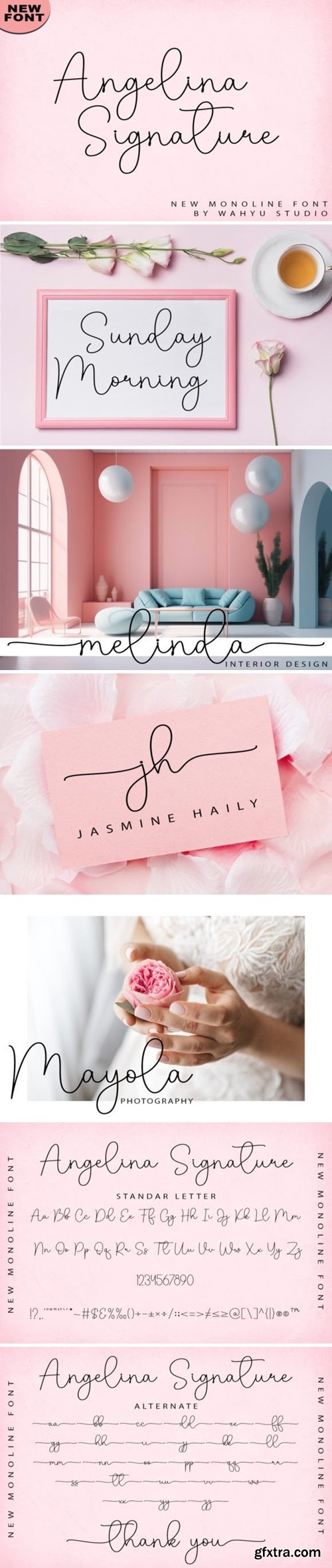 Angelina Signature Font Angelina Signature Font