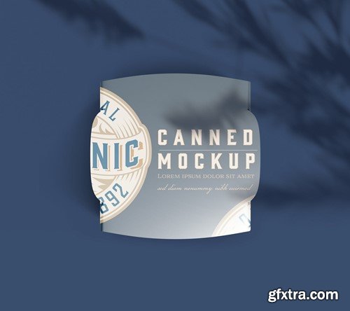 Single Can with Packaging Mockup BKMBLYF Single Can with Packaging Mockup BKMBLYF