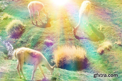 Iridescent Lens Flares Overlays C9Y8X2F Iridescent Lens Flares Overlays C9Y8X2F