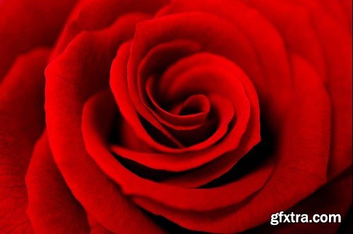 Shine CS3+ Photoshop Action J4DNSD6 Shine CS3+ Photoshop Action J4DNSD6