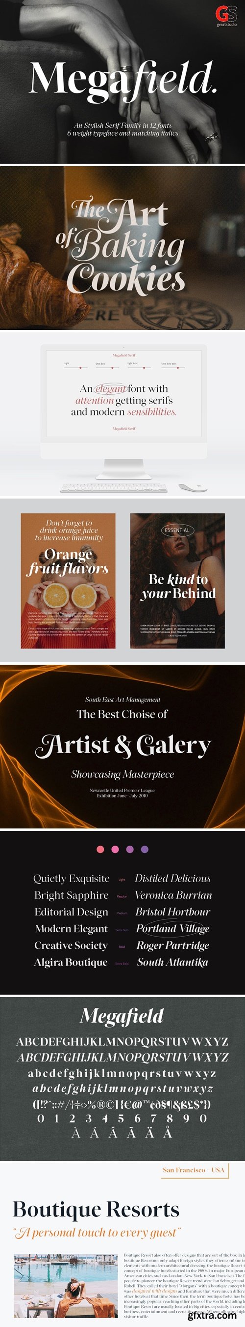 Megafield Font Family 13448377