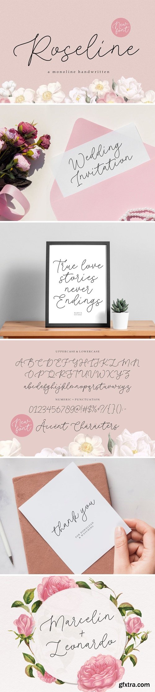 Roseline Script Font Roseline Script Font