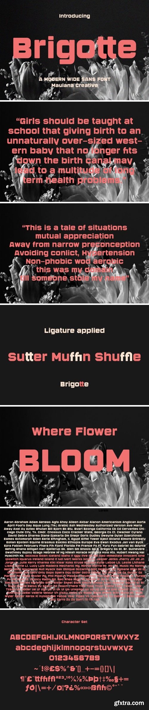 Brigotte Modern Wide Sans Font Brigotte Modern Wide Sans Font