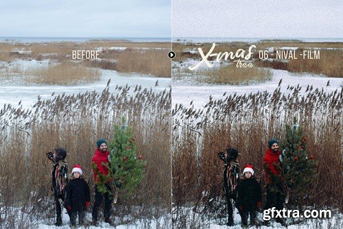 Xmas Tree - Winter Photography Presets 2DF68S9