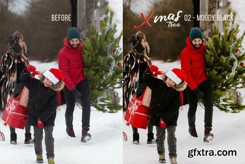 Xmas Tree - Winter Photography Presets 2DF68S9