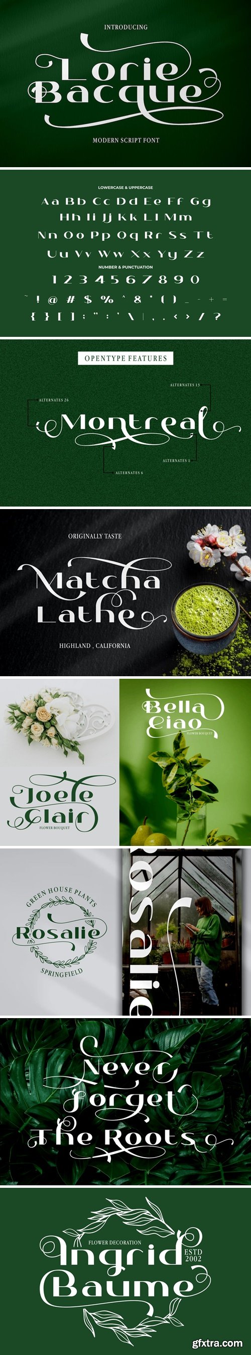 Lorie Bacque - Modern Sans Serif Font