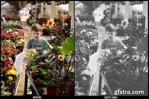 Matte Blogger- Desktop & Lightroom Presets(v2) NBF8S6C Matte Blogger- Desktop & Lightroom Presets(v2) NBF8S6C