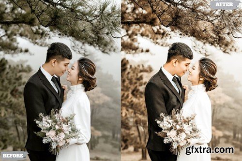 Wedding Rustic Lightroom Presets Dekstop Mobile CCGXBYS