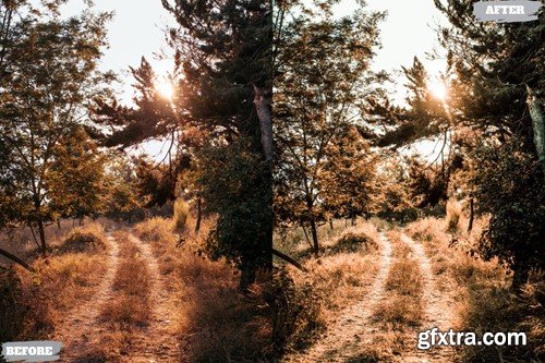 Rustic Forest Lightroom Presets Dekstop and Mobile X2FUG66 Rustic Forest Lightroom Presets Dekstop and Mobile X2FUG66