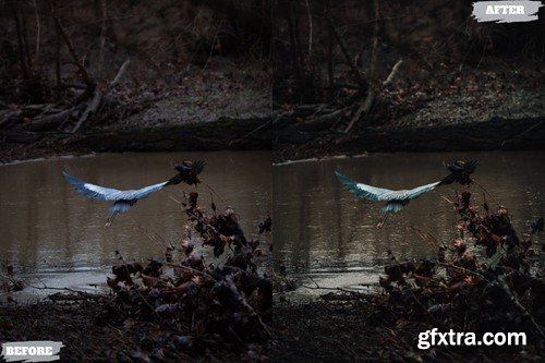 Alam Lightroom Presets Dekstop and Mobile GJ7L6WK Alam Lightroom Presets Dekstop and Mobile GJ7L6WK