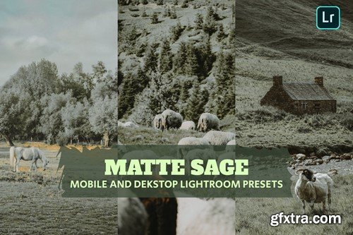Matta Sage Lightroom Presets Dekstop and Mobile RG9J9XN Matta Sage Lightroom Presets Dekstop and Mobile RG9J9XN