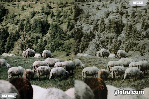 Matta Sage Lightroom Presets Dekstop and Mobile RG9J9XN Matta Sage Lightroom Presets Dekstop and Mobile RG9J9XN