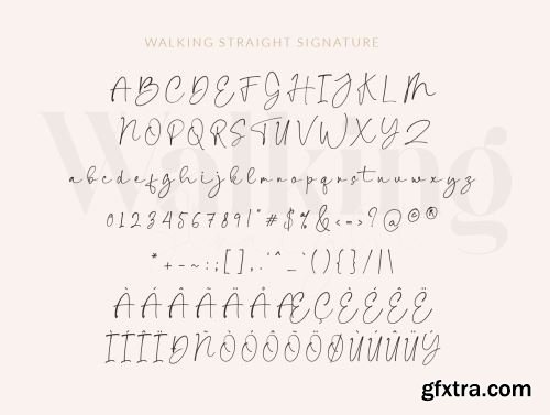 walking Straight_font duo_serif and signature typeface Ui8.net