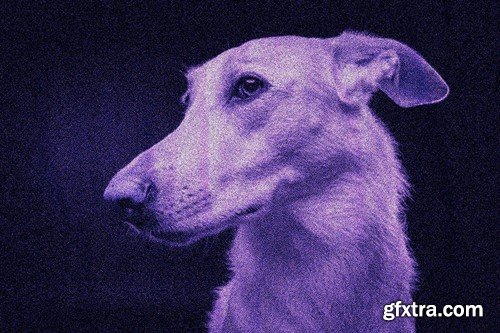 Cyber Grain on Glued Paper Photo Effect DAEEYXL Cyber Grain on Glued Paper Photo Effect DAEEYXL