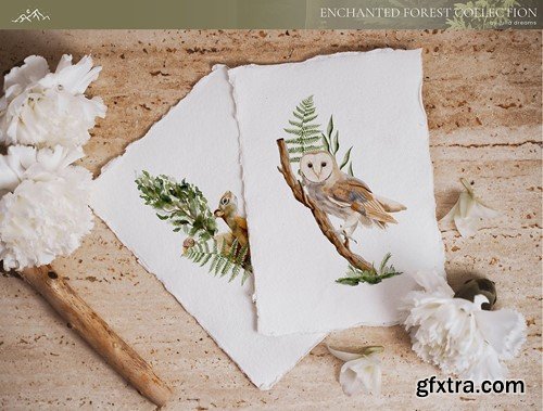 Enchanted Forest Watercolor Compositions Animals LYEB3QS Enchanted Forest Watercolor Compositions Animals LYEB3QS