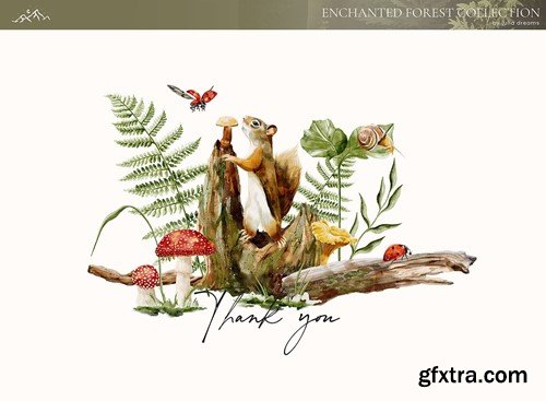 Enchanted Forest Watercolor Compositions Animals LYEB3QS Enchanted Forest Watercolor Compositions Animals LYEB3QS