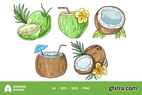 Coconut Hand Drawn Illustration Z9F3SHR