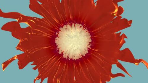 Videohive - Flower background graphic animated slow motion It can be used as a background for social media - 47491895 - 47491895
