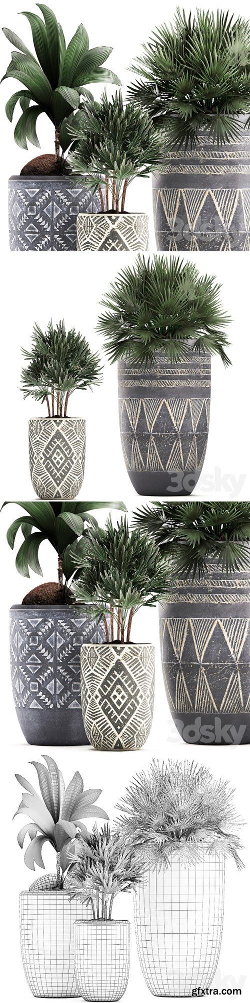 Plant Collection 475. coconut nucifera, fan palm, rapis, indoor plants, eco design, natural decor, indoor