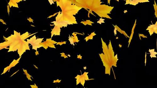 Videohive - Autumn Leaves Falling V2 - 47546946 - 47546946