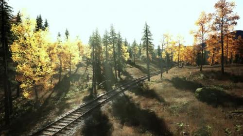 Videohive - Abandoned Railway Stretching Through a Grove of Fir Trees at Dusk - 47592557 - 47592557