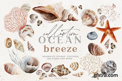 Ocean Breeze Seashells Sea Collection 79GJDMC Ocean Breeze Seashells Sea Collection 79GJDMC
