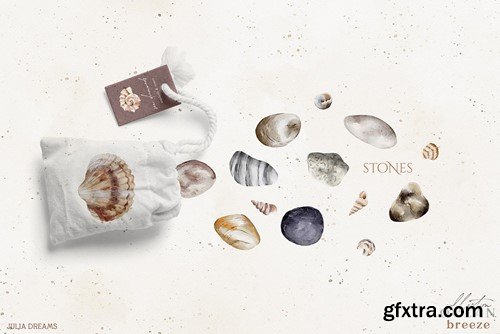 Ocean Breeze Seashells Sea Collection 79GJDMC Ocean Breeze Seashells Sea Collection 79GJDMC