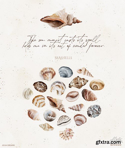 Ocean Breeze Seashells Sea Collection 79GJDMC Ocean Breeze Seashells Sea Collection 79GJDMC
