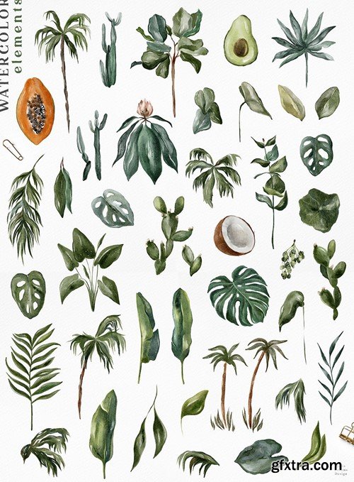 Tropical Leaves Plants Watercolor Floral EP8QYLA Tropical Leaves Plants Watercolor Floral EP8QYLA