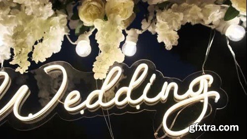 Videohive Wedding 47687776