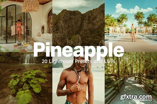 20 Pineapple LUTs & Lightroom Presets M8U3GWM 20 Pineapple LUTs & Lightroom Presets M8U3GWM