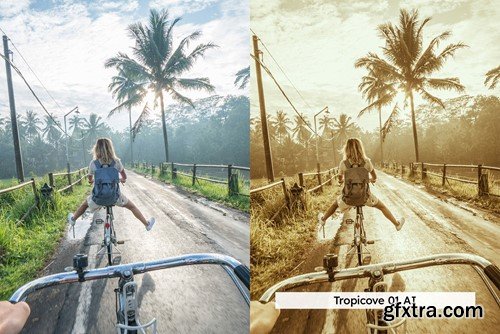 20 Pineapple LUTs & Lightroom Presets M8U3GWM 20 Pineapple LUTs & Lightroom Presets M8U3GWM