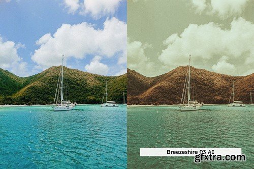 20 Pineapple LUTs & Lightroom Presets M8U3GWM 20 Pineapple LUTs & Lightroom Presets M8U3GWM