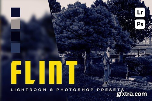 6 Flint Lightroom and Photoshop Presets FWZKZ49 6 Flint Lightroom and Photoshop Presets FWZKZ49