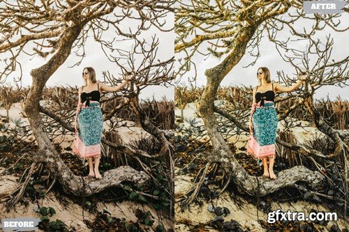 Warmht Agust Lightroom Presets Dekstop and Mobile CTCVM6Z Warmht Agust Lightroom Presets Dekstop and Mobile CTCVM6Z