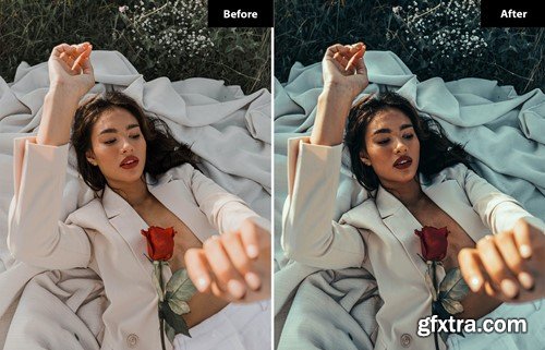 6 Cornflower Lightroom and Photoshop Presets YJD3TYN 6 Cornflower Lightroom and Photoshop Presets YJD3TYN