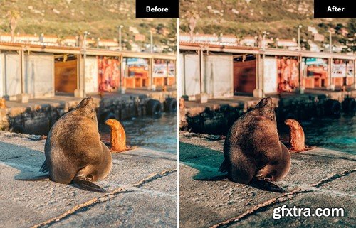 6 Graphite Lightroom and Photoshop Presets NXAKETW 6 Graphite Lightroom and Photoshop Presets NXAKETW